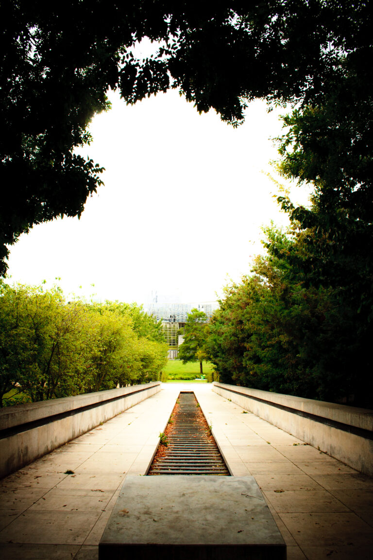 VERDURE_02
